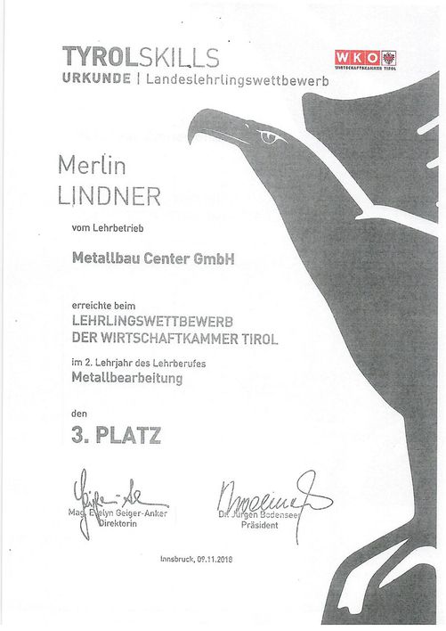 Auszeichnung Merlin