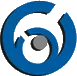 Logo Icon